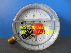 径向耐震电接点压力表YTNXC-150