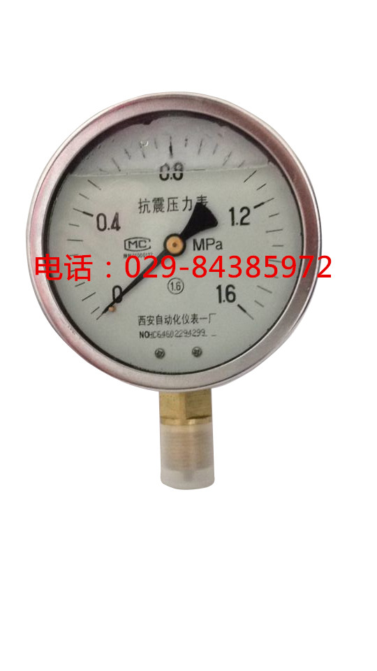 YTN-150 耐震压力表