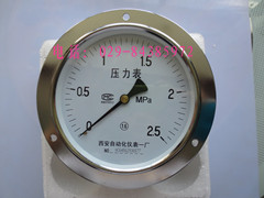 Y-100ZT轴向带边压力表