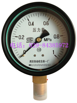 Y-100 普通精密压力表（精度等级1.0级）