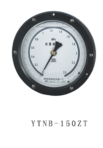 YTNB-150ZT 抗震精密压力表