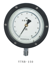YTNB-150抗震精密压力表