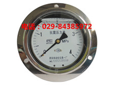 YTN-150BF-ZT 耐震不锈钢压力表