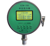 YZW-150 液晶数字中文压力表