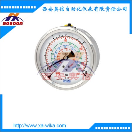 112.28.080德国wika压力表特种压力表德国威卡