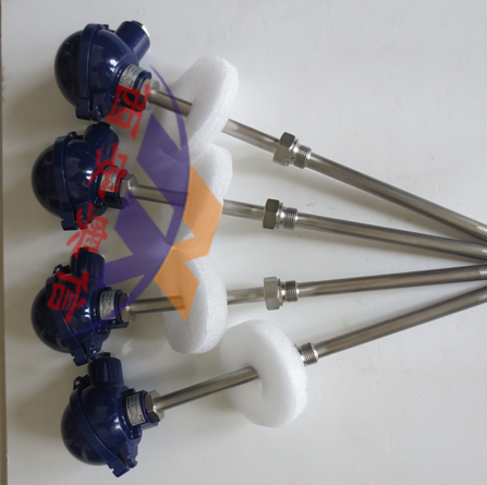 TR10-C 德国wika RTD温度传感器